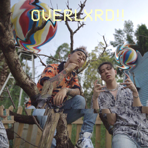 欧美一级特黄A片免费看视频
