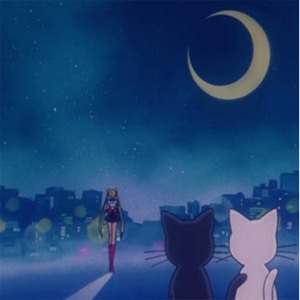 欧美一级特黄A片免费看视频
