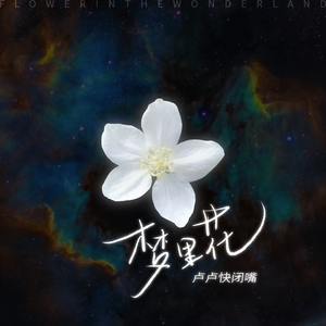 欧美一级特黄A片免费看视频
