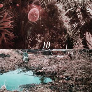 欧美一级特黄A片免费看视频
