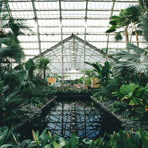 欧美一级特黄A片免费看视频
